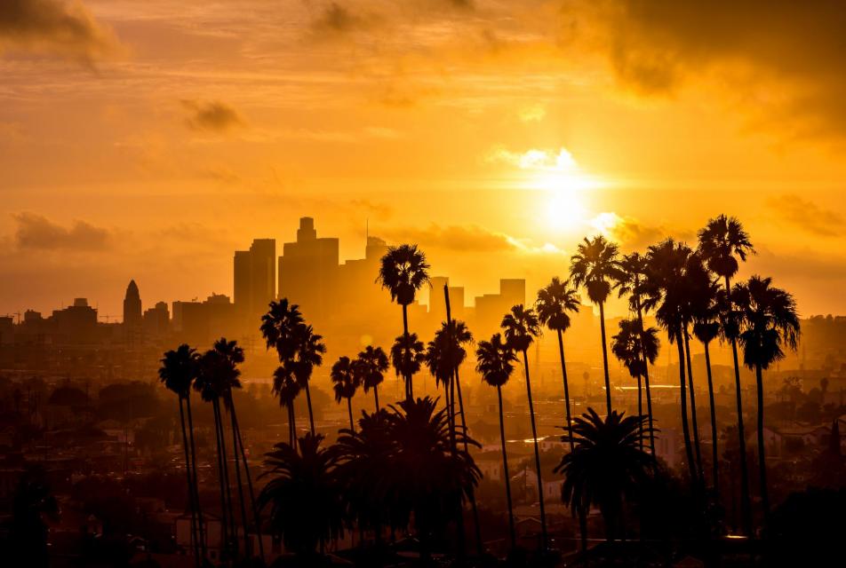 Los Angeles and Palm Trees Sunset