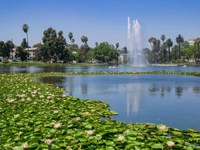 The beautiful Echo Park Lake