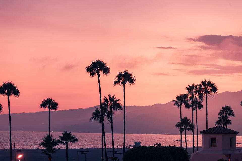 Purple sunset in Santa Monica with silhouettes of palms